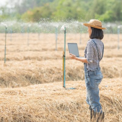 asia young female farmer in hat standing in field and typing on keyboard of laptop computer. woman with laptop supervising work on farmland,  Concept ecology, transport, clean air, food, bio product